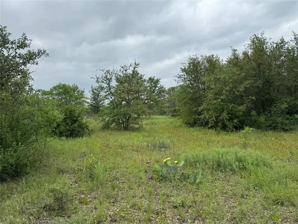 Graford, TX 76449,Lot 294 Shooting Star Court