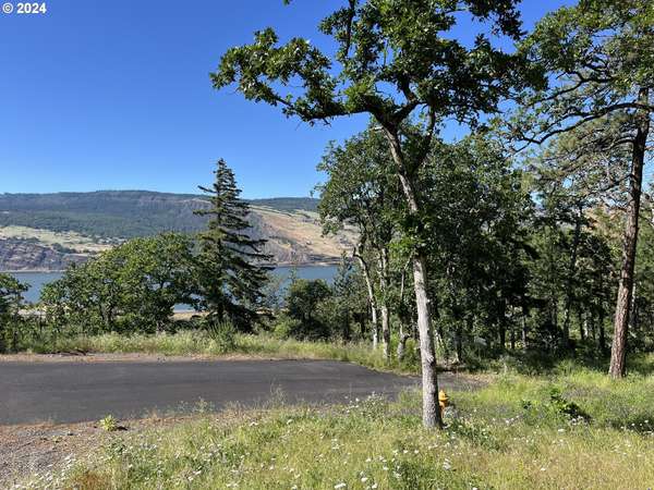 Mosier, OR 97040,Coyote CT #47