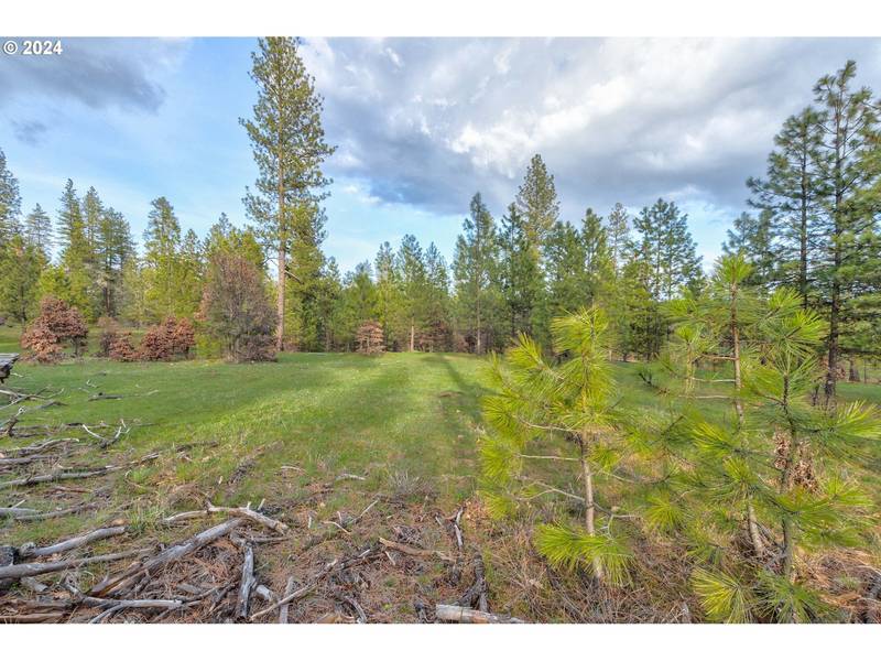 5 Greyback Mt RD #5, Goldendale, WA 98620