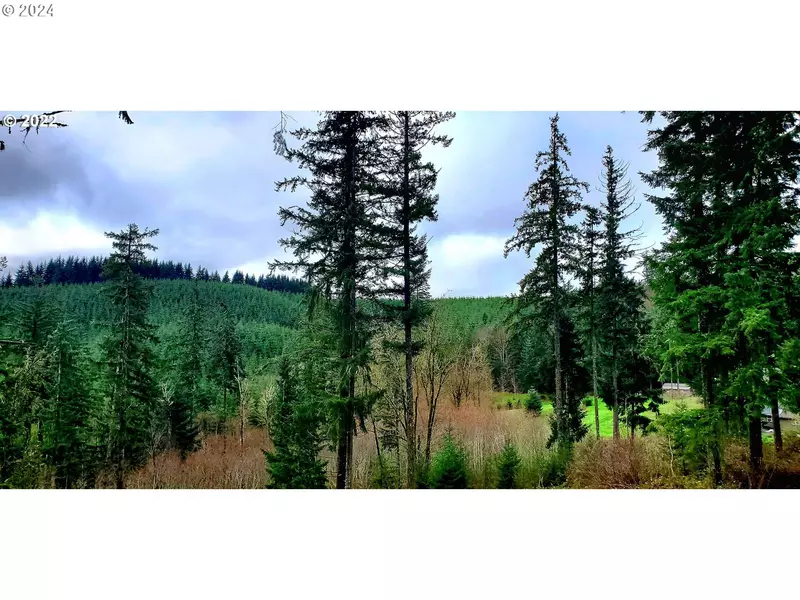 Viewcrest DR, Warren, OR 97053