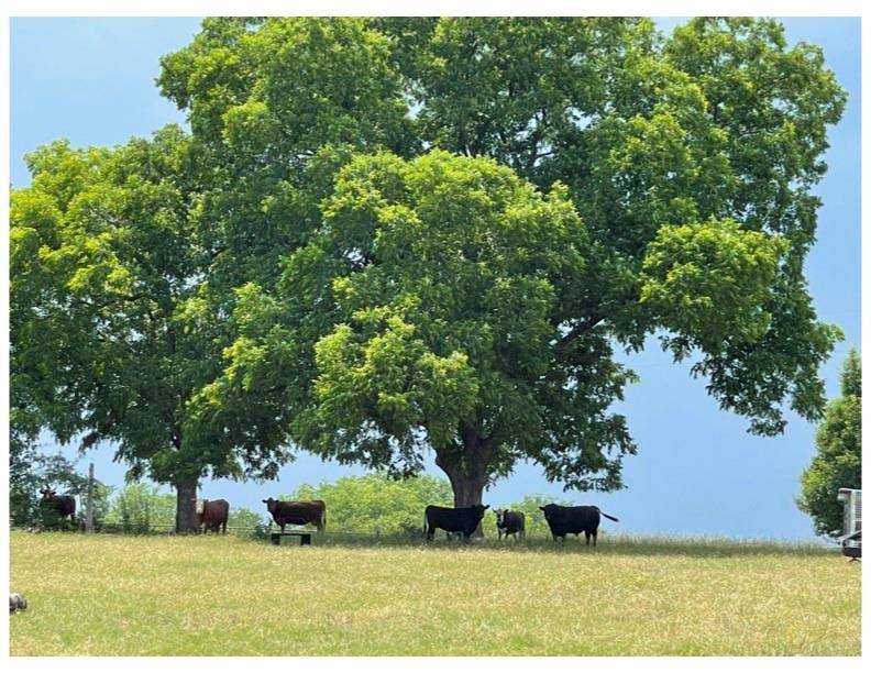 Denison, TX 75021,TBD Shaffer Road