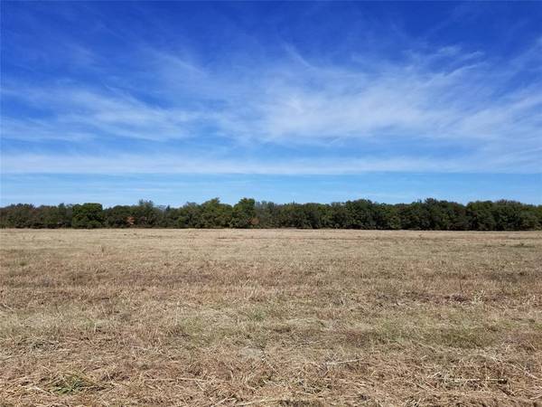 TBD E Hwy 56, Savoy, TX 75479