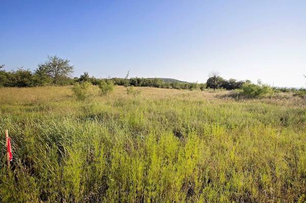 Graford, TX 76449,Lot 445 Indigo Bush Court