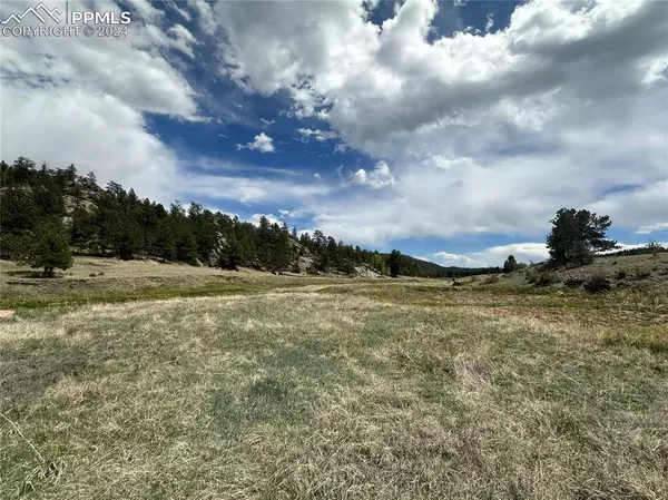 Florissant, CO 80816,2332 County RD