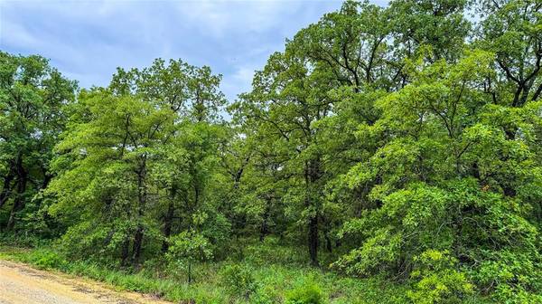 143 Briarwood Trail, Nocona, TX 76255