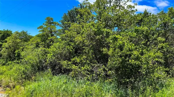 Nocona, TX 76255,143 Briarwood Trail