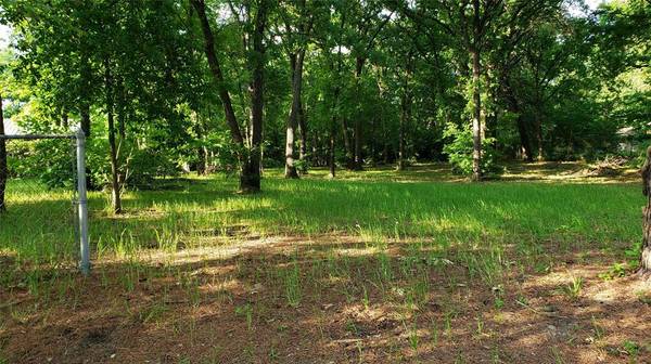 Lot 53 Island Park Drive, Gun Barrel City, TX 75156