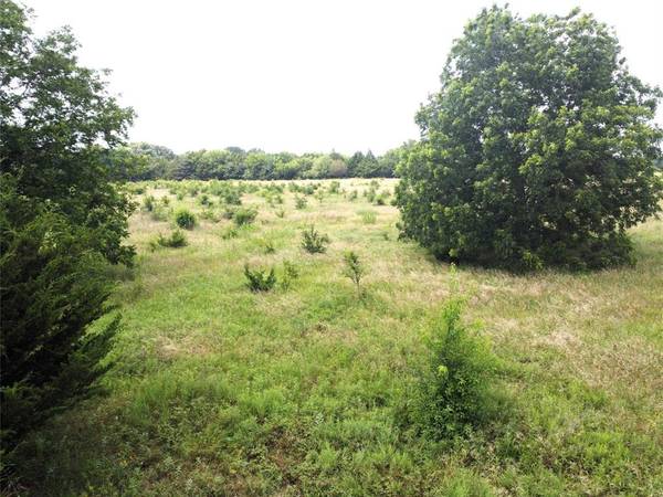 Ravenna, TX 75476,Lot 6 CR 1400