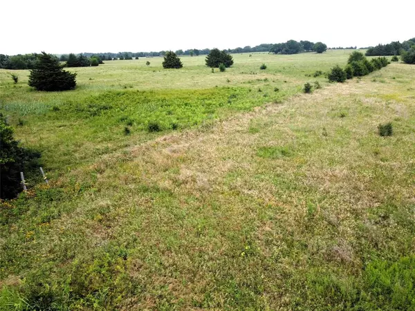 Ravenna, TX 75476,Lot 6 CR 1400