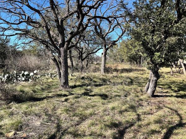 TBD Lot 70 Oak Point Drive,  May,  TX 76857