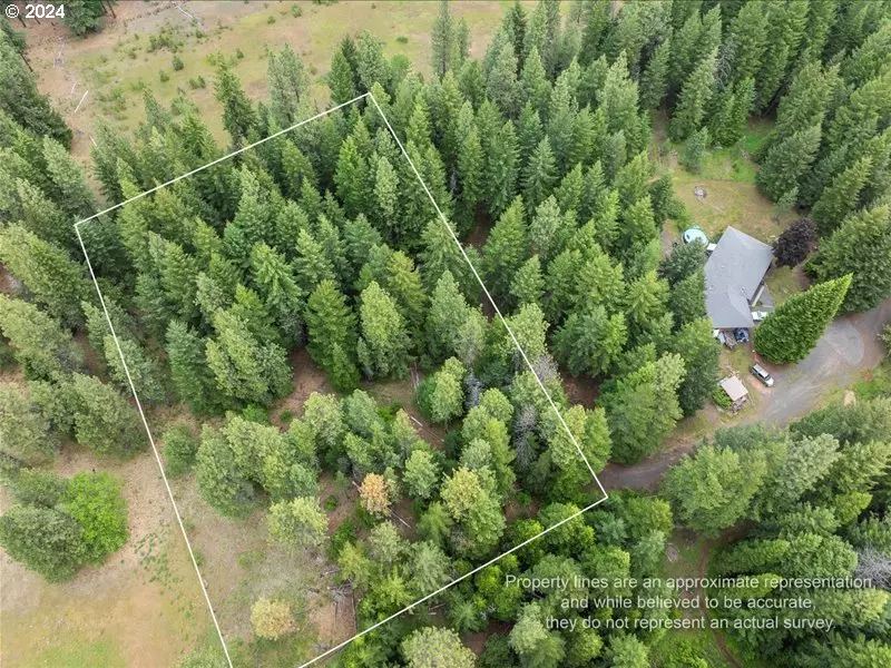 Marjeren LN, Trout Lake, WA 98650