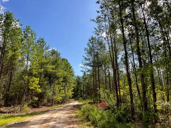 Zavalla, TX 75980,0004 Slim Palmer Road