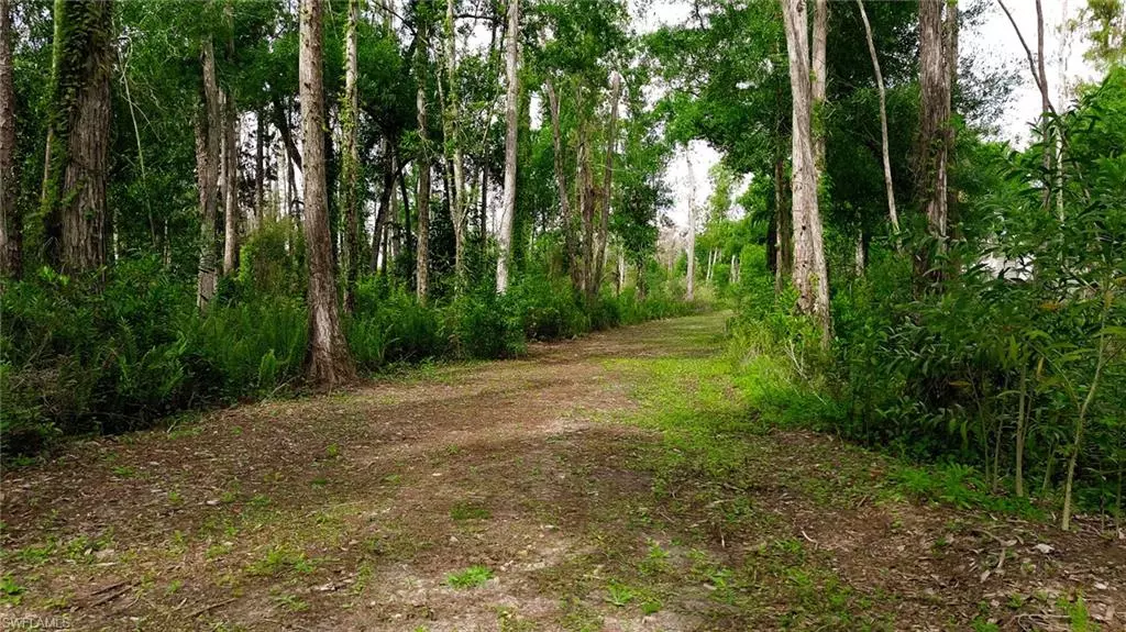 Fort Myers, FL 33966,12084 Honeysuckle RD