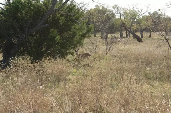 Brady, TX 76825,1757 CR 152