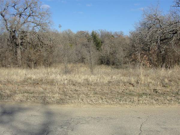 TBD Lee Rd, Mineral Wells, TX 76067