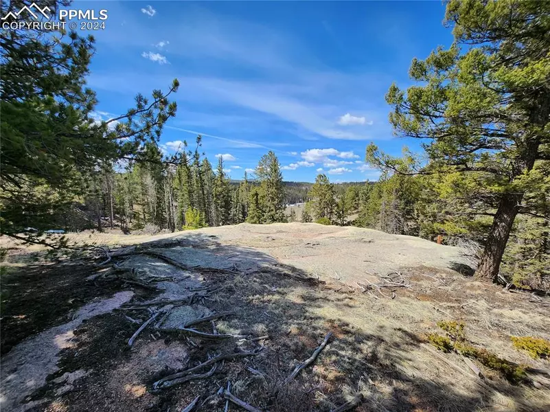 LOT 1 Highway 24, Divide, CO 80814