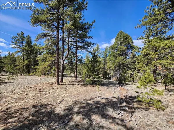 Divide, CO 80814,LOT 1 Highway 24