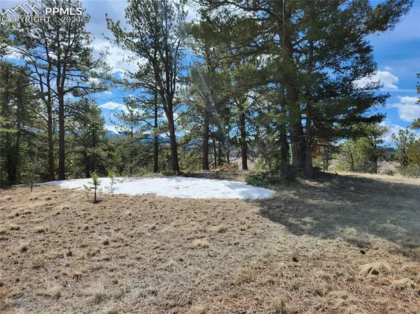 Divide, CO 80814,LOT 1 Highway 24