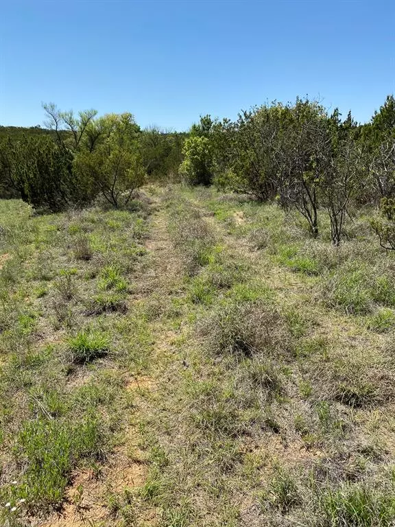 Blackwell, TX 79506,644Acre Hwy 70