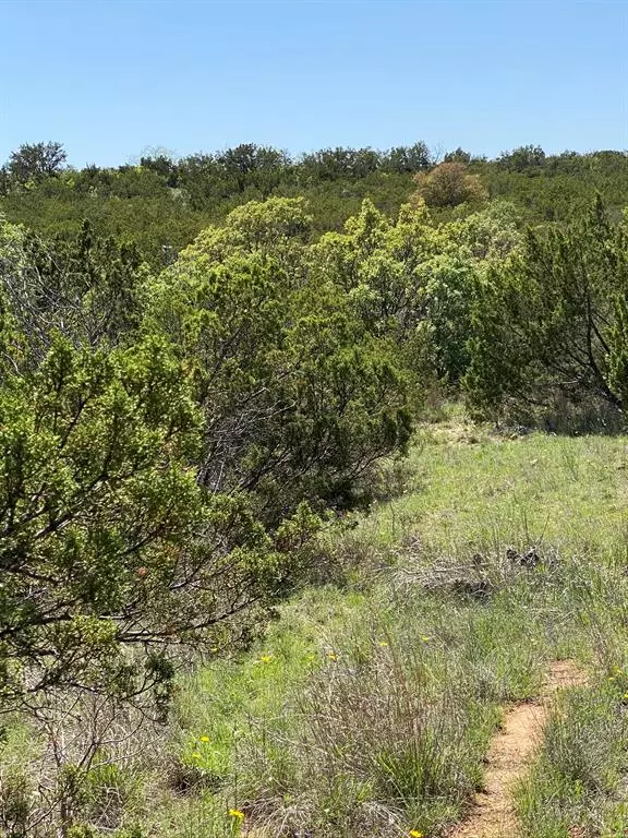 Blackwell, TX 79506,644Acre Hwy 70