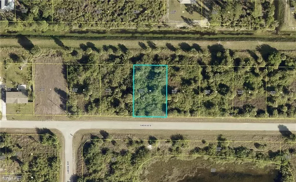 733 Cadis ST E, Lehigh Acres, FL 33974