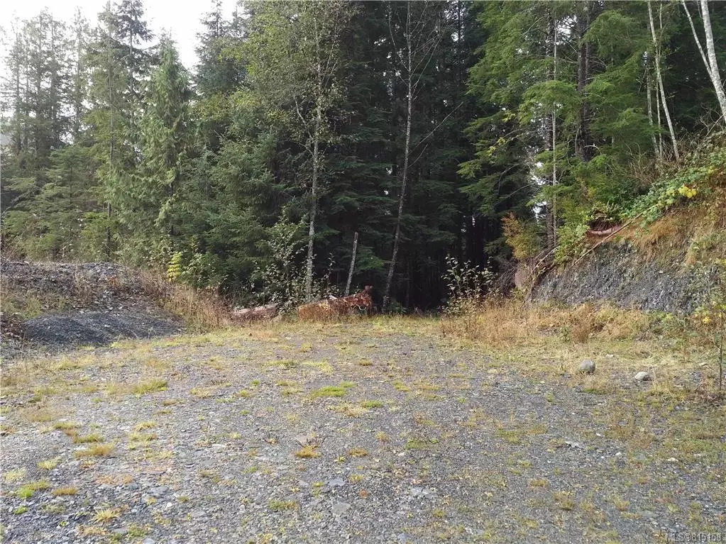 Port Renfrew, BC V9Z 1J6,6 Parkinson Rd #Lot