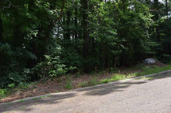 Lot #59 & 1/2 58 Mark Street, Minden, LA 71055