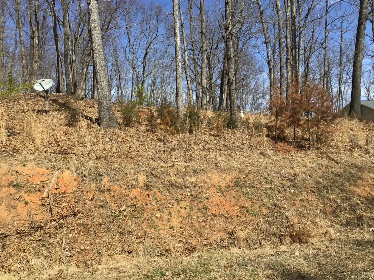 Goodview, VA 24095,3409 Mill Iron RD