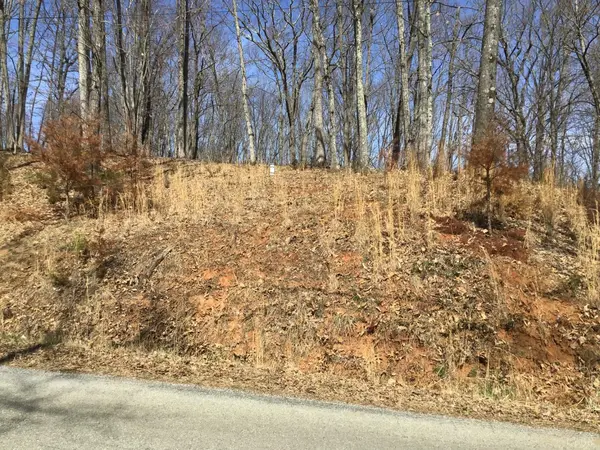 Goodview, VA 24095,3409 Mill Iron RD