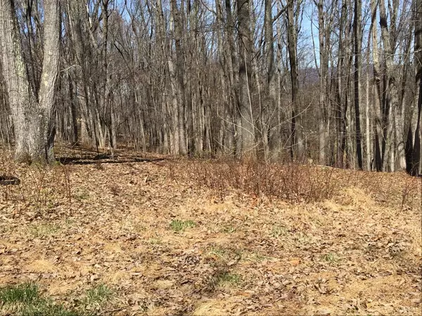 Goodview, VA 24095,3409 Mill Iron RD