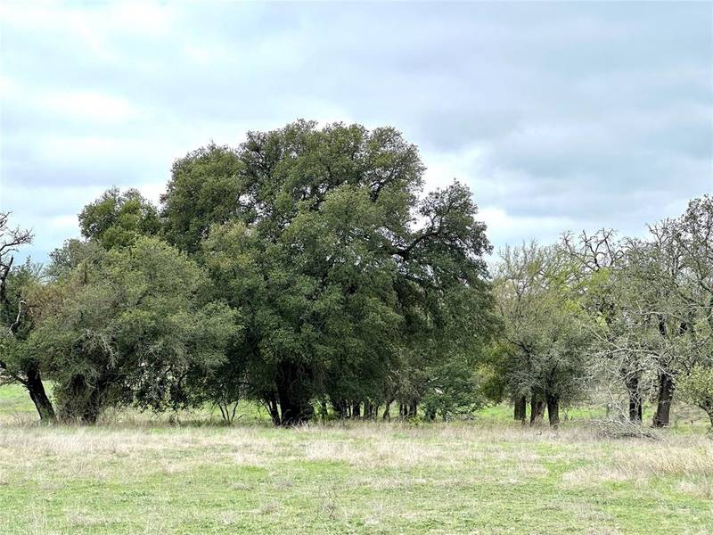 TBD County Road 250, Goldthwaite, TX 76844