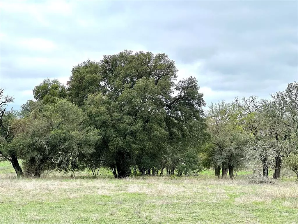 Goldthwaite, TX 76844,TBD County Road 250