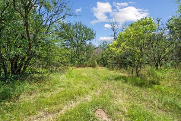 TBD Boswell Court, Lipan, TX 76462