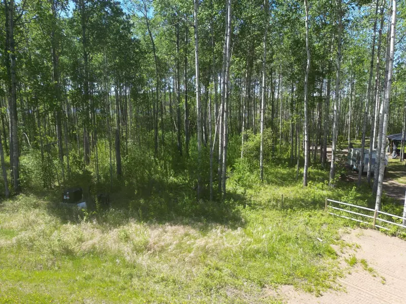 8 Branch Lake, Loon Lake, SK S0M 1L0