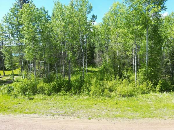 2 Branch Lake, Loon Lake, SK S0M 1L0