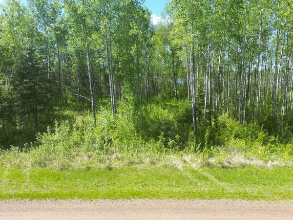 4 Branch Lake, Loon Lake, SK S0M 1L0