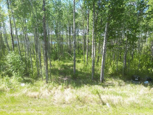 7 Branch Lake, Loon Lake, SK S0M 1L0