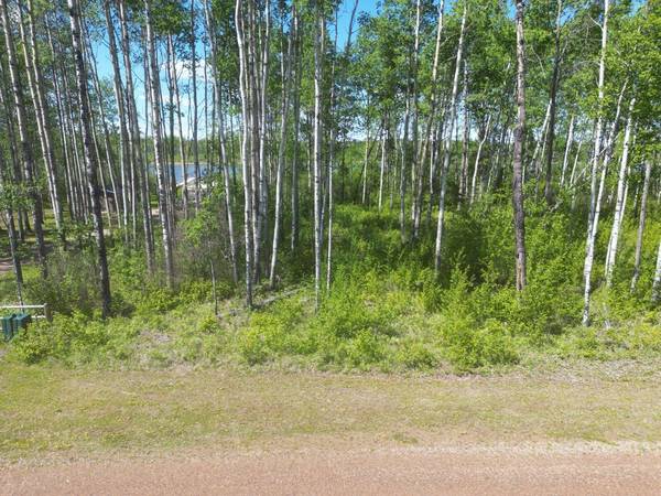 12 Branch Lake, Loon Lake, SK S0M 1L0