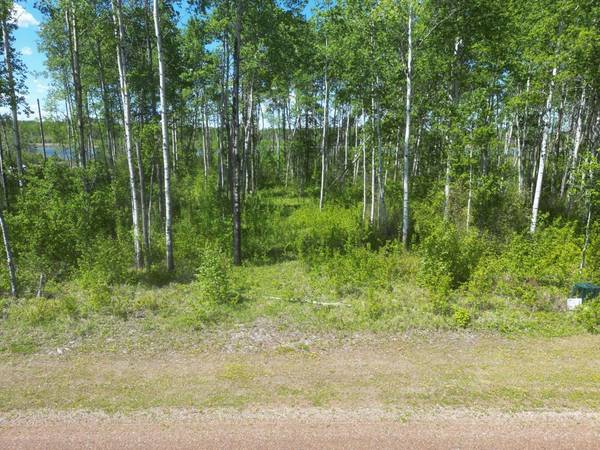 13 Branch Lake, Loon Lake, SK S0M 1L0