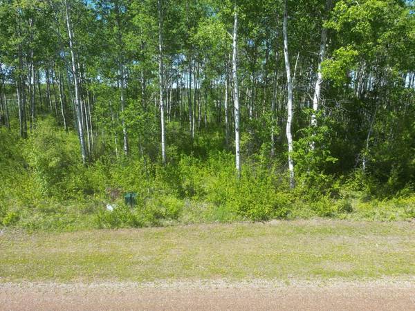 14 Branch Lake, Loon Lake, SK S0M 1L0