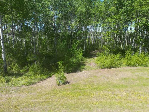 15 Branch Lake, Loon Lake, SK S0M 1L0