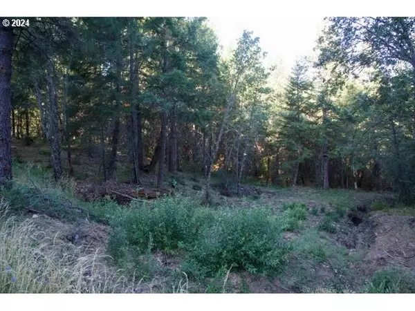 Eagle Point, OR 97524,0 ELK CR RD #TL3200