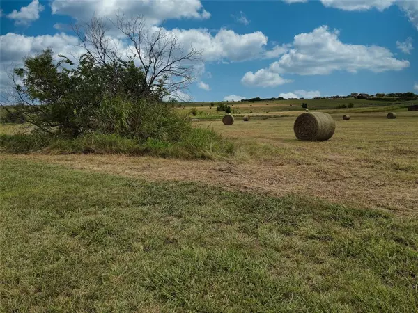 TBD Hackamore Court, Justin, TX 76247