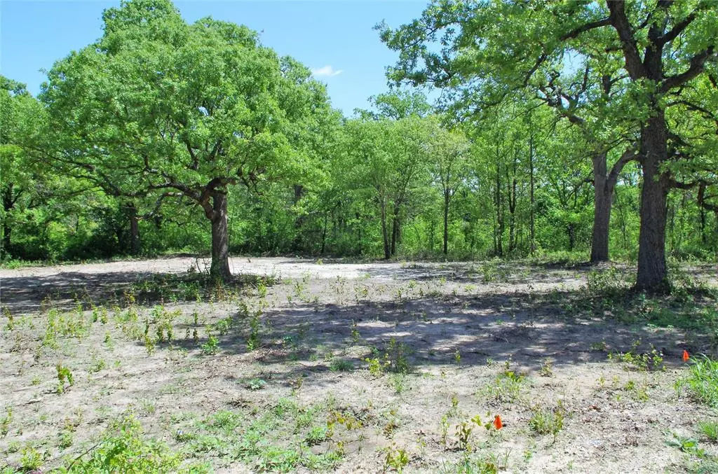 Stephenville, TX 76401,LOT 15 Timber Creek Drive