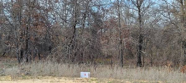 Lot 4 Live Oak Trail,  Clyde,  TX 79510