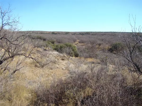 Moran, TX 76464,84 Ac HWY 6