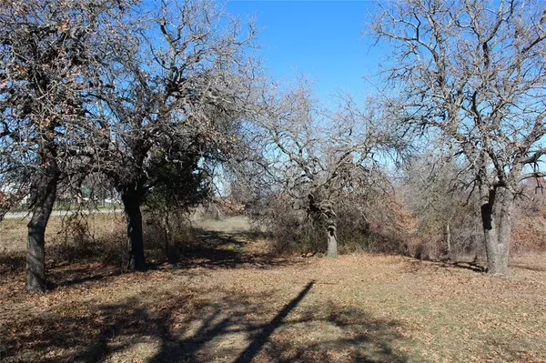 Weatherford, TX 76088,0000 Old Agnes Road