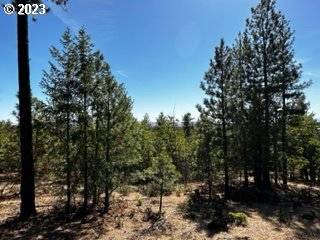 1 Orchard Heights RD, Goldendale, WA 98620