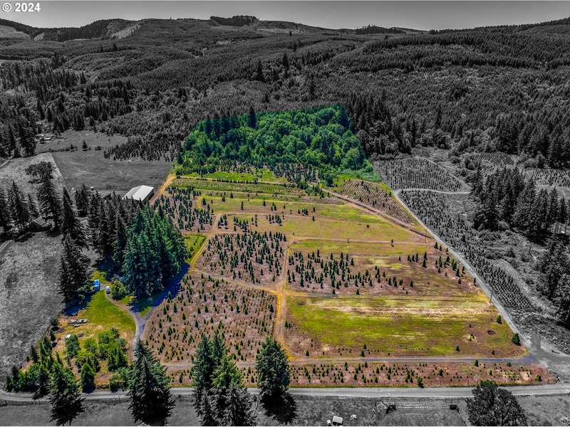 47070 EVERGREEN LN, Lyons, OR 97358