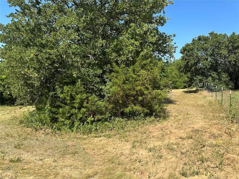 TBD County Road 4599 Lot 4, Boyd, TX 76023